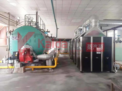 真低氮選凱大 食品廠4臺1t超低氮變頻蒸汽源機(jī)組完美替換4t傳統(tǒng)燃?xì)忮仩t